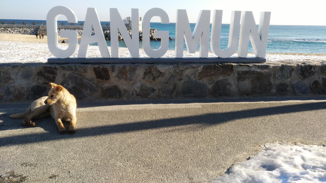 Ocean Capsule Guesthouse Gangneung Luaran gambar
